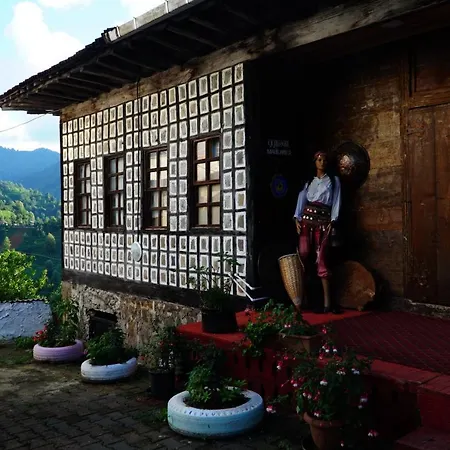 Laz Evi *